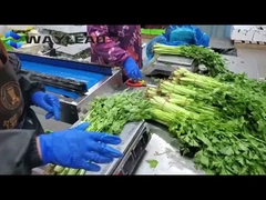 Машины для упаковки бисквит для закусок и подушек Автоматическое оборудование для упаковки кондитерских изделий