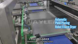 Роботизированная сублимационная сушилка с автоматическим размещением тарелок