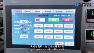 Машина для быстрой упаковки жидкостей в пакеты WG250