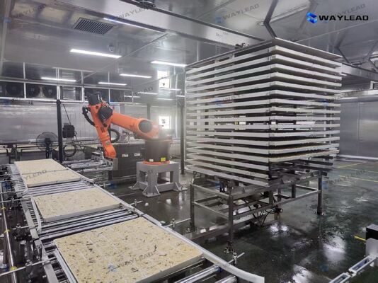 Высокоэффективный автоматический робот для укладки пластин, разработанный для производственных линий сублимационной сушки